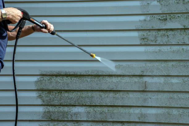 Best Roof Pressure Washing  in North St Paul, MN